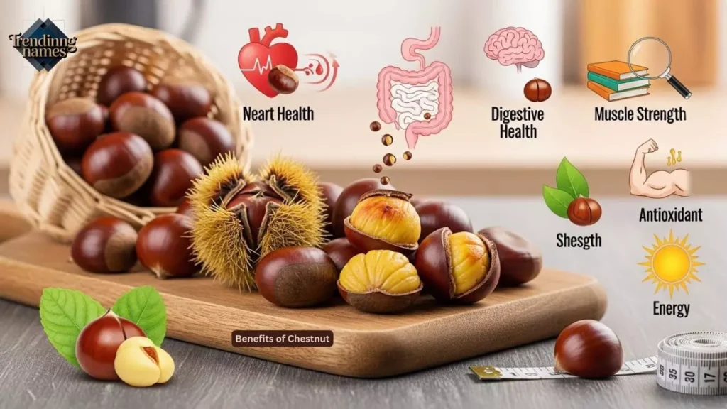 Benefits of Chestnut