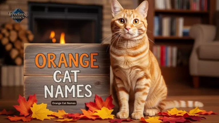350+ Best Orange Cat Names: Cute, Unique & Funny Ideas 