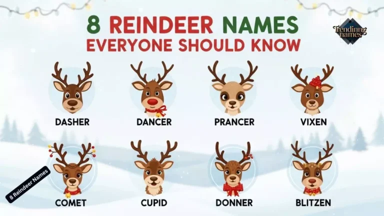 200+ 8 Reindeer Names Everyone Should Know