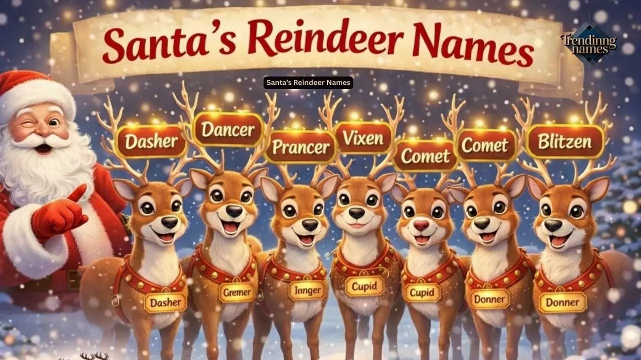 210+ Santa’s Reindeer Names: Full List Everyone Loves
